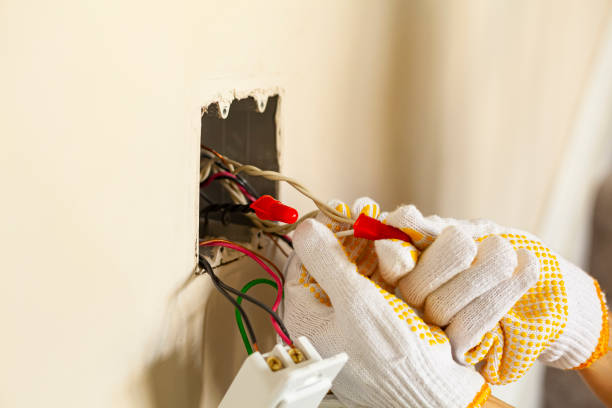 Best Electrical Panel Upgrades  in New Egypt, NJ